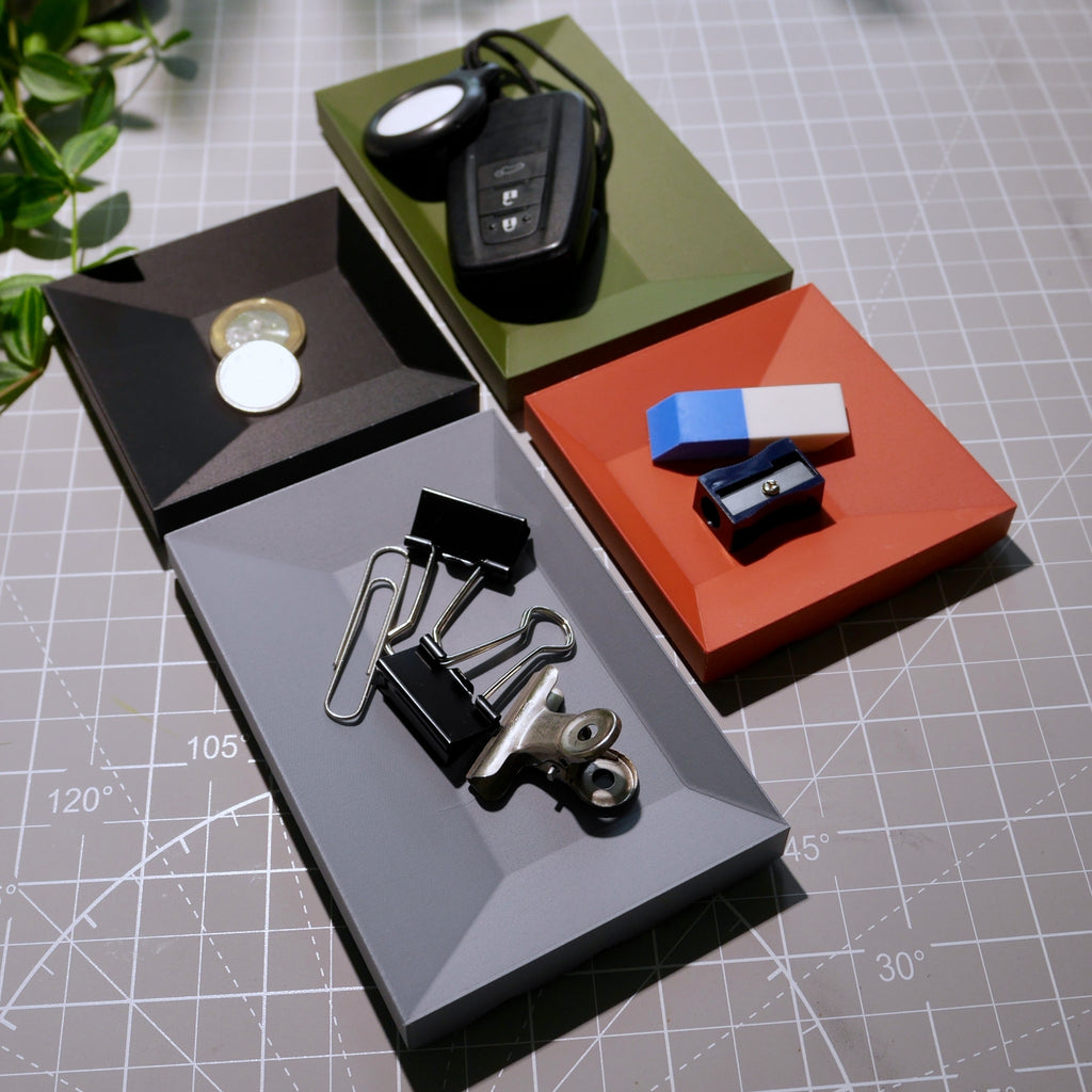 RIB organizer - Dish