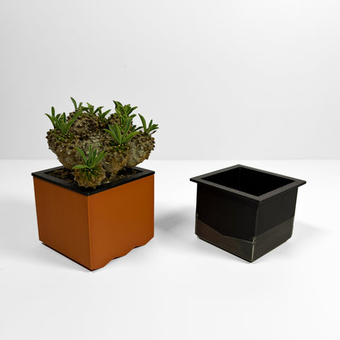 RIB Cup with RIB Root