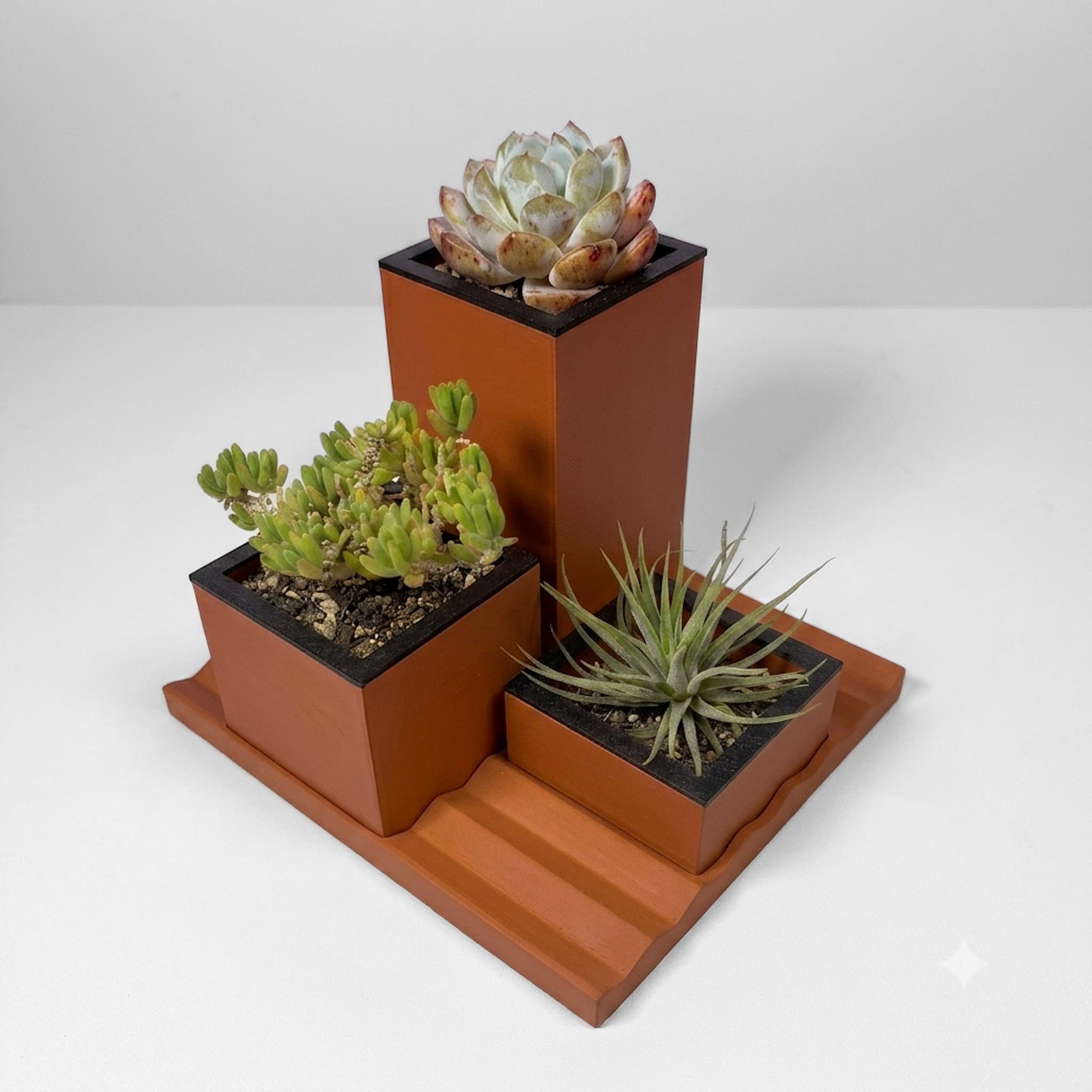 RIB Garden Trio