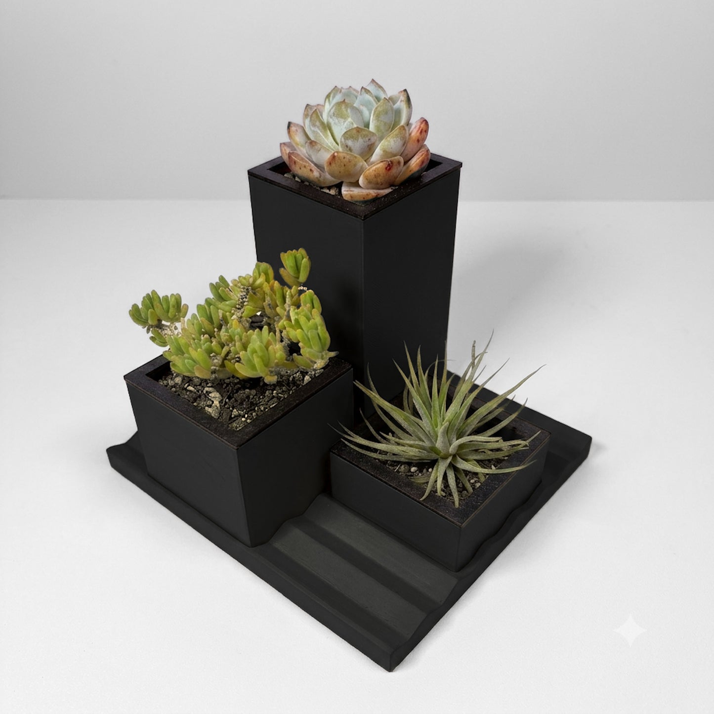 RIB Garden Trio