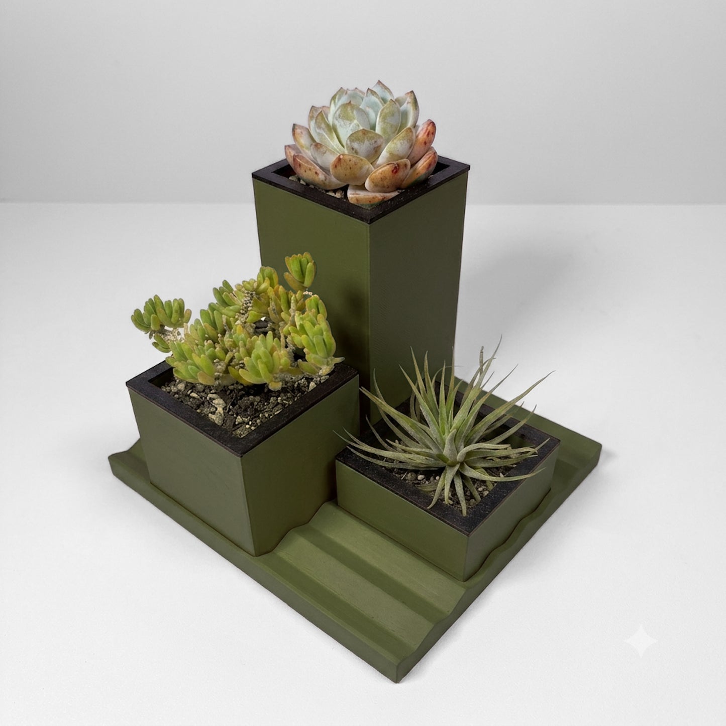 RIB Garden Trio