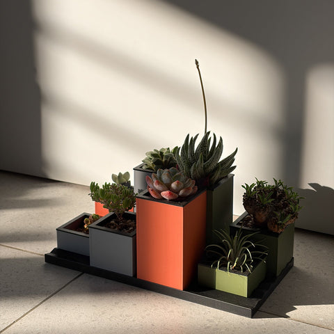 Set of potted plants arranged in a geometric pattern on a light-colored floor.