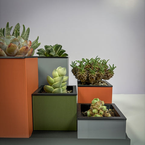 Collection of potted succulents in Sage, Clay and Slate planters on a RIB Base with a neutral background
